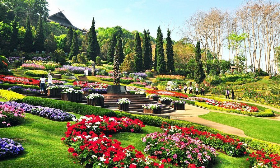 Explore Chiang Rai