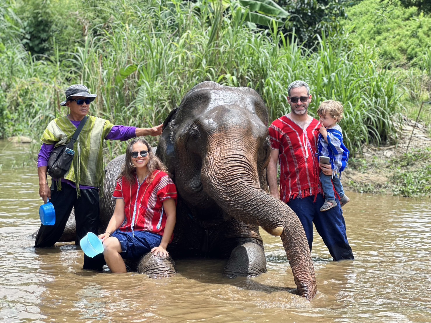 One Day Elephant Experience