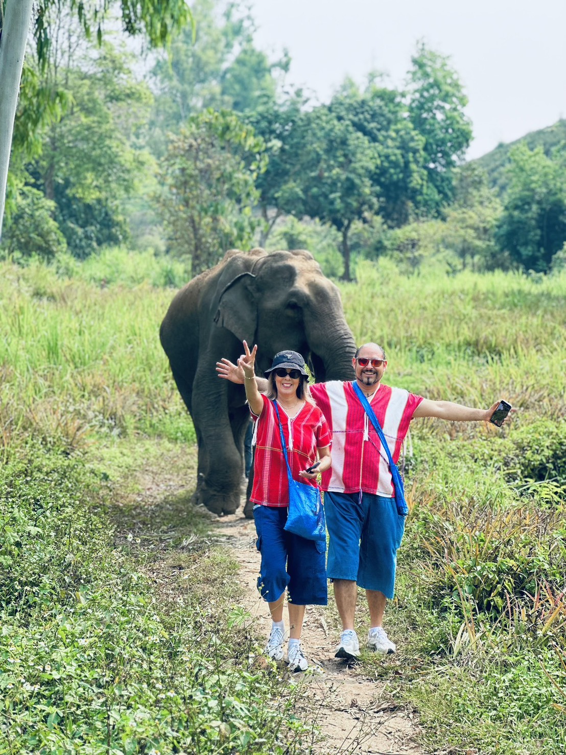 One Day Elephant Experience gallery 2