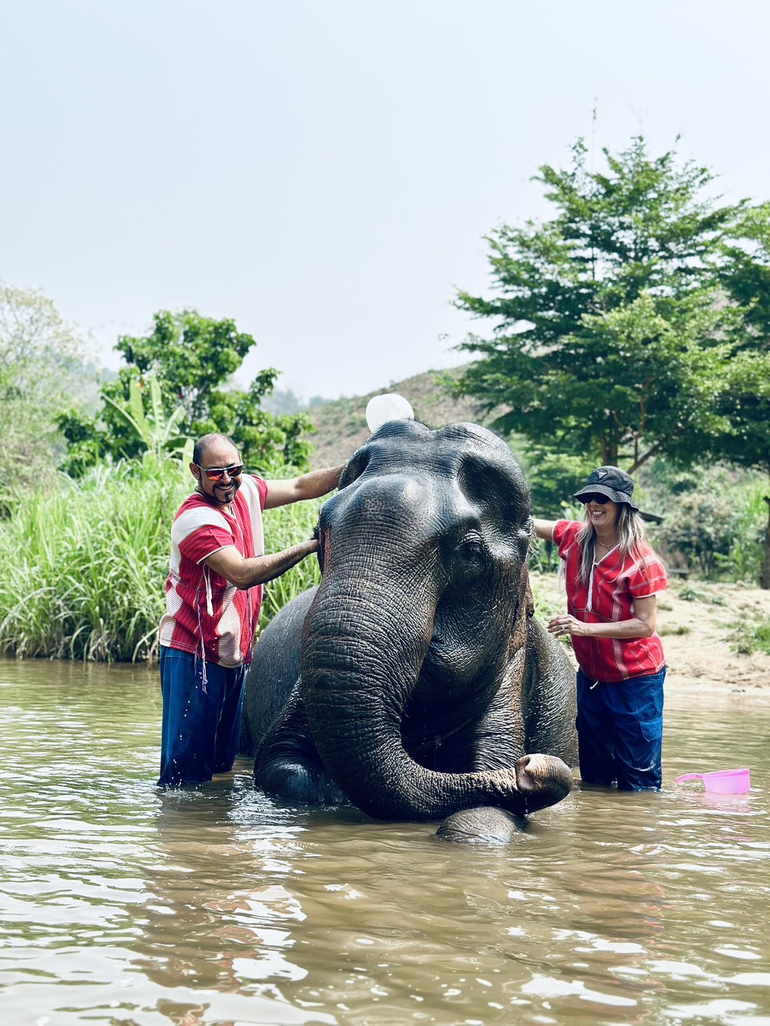 One Day Elephant Experience gallery 3