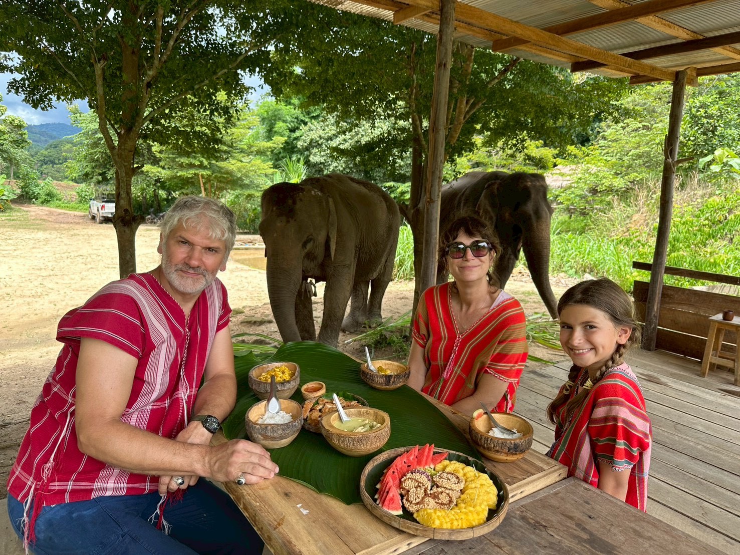 One Day Elephant Experience gallery 5